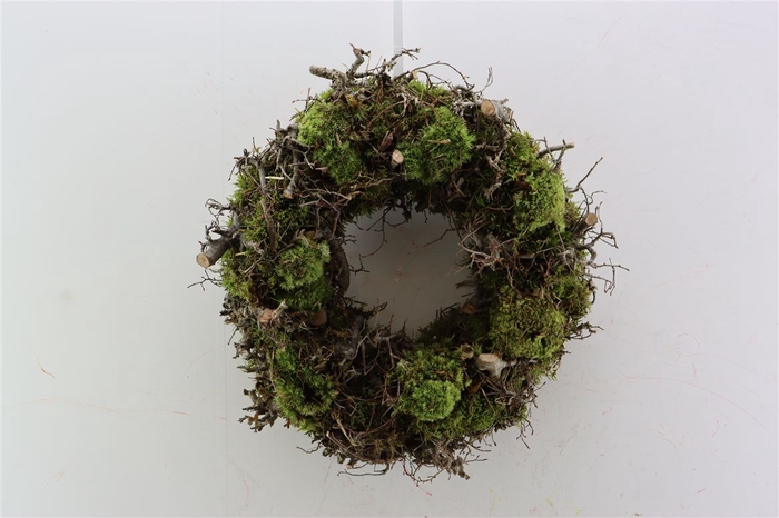 <h4>Wr Bonsai Mix Boll Moss 45cm</h4>