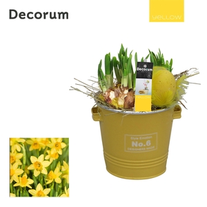 Narcis Colourful Bucket HL16585 [YELLOW]