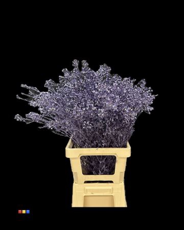 <h4>Waxflower Metallic Purple</h4>