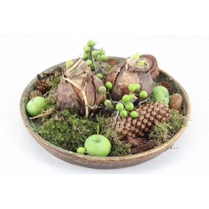 arr4 Amaryllis MB - Ker. plate luxe 338/2