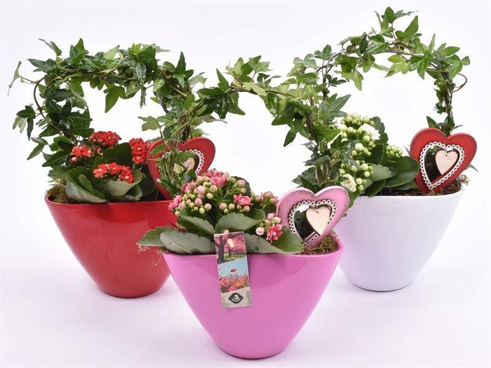 <h4>Keramiek ovaal kl.mix 19x10</h4>