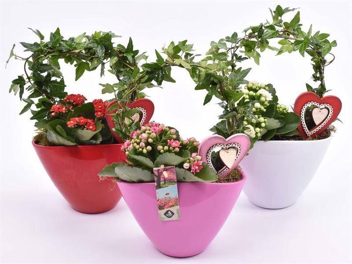 <h4>Keramiek ovaal kl.mix 19x10</h4>