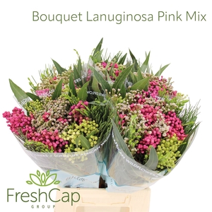 Bouquet Lanuginosa Pink Mix