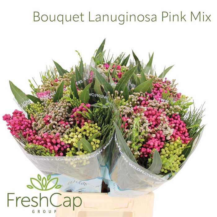 <h4>Bouquet Lanuginosa Pink Mix</h4>