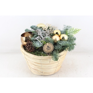 arr5 Kerst PL - Zeegras mand Gold 1wax