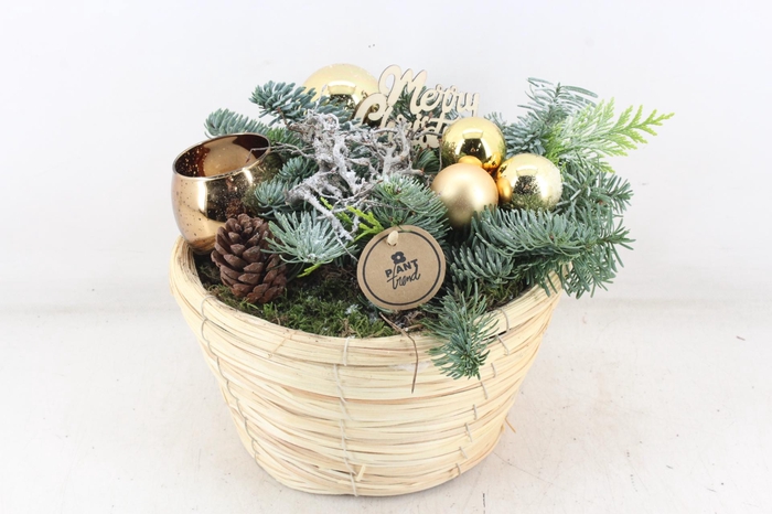 <h4>arr5 Kerst PL - Zeegras mand Gold 1wax</h4>