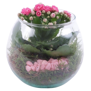 Womensday Arr. Indoor Glass Fishbowl Ø12cm 1PP