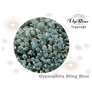 GYPS PA BLING BLUE