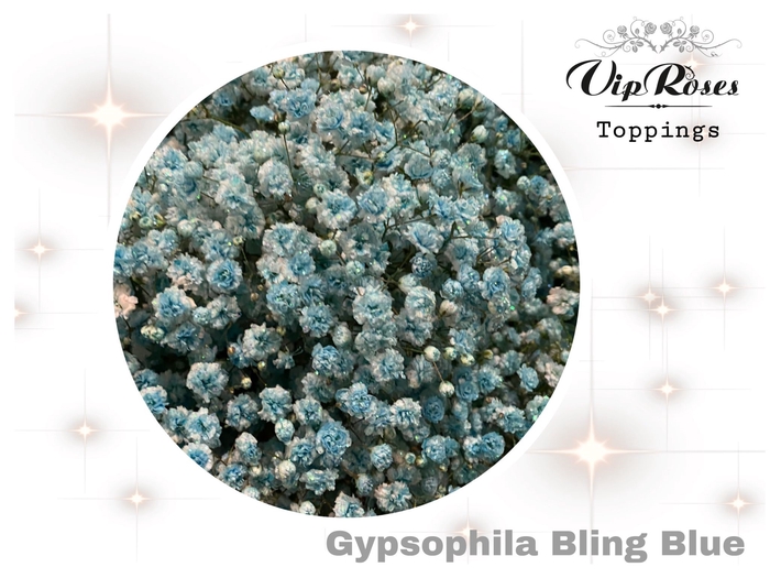 <h4>GYPS PA BLING BLUE</h4>