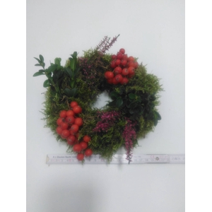 KRANZ 25 HAGEBUTE-MOOS-BUX 15CM