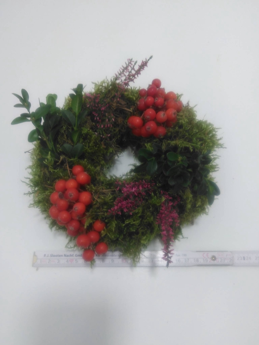 <h4>KRANZ 25 HAGEBUTE-MOOS-BUX 15CM</h4>