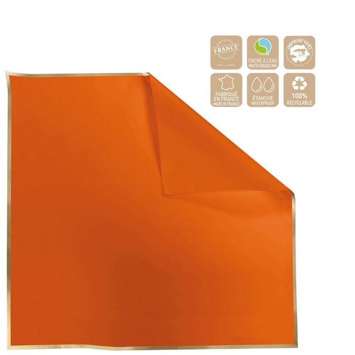 <h4>Folie Vel 70*70cm Cachotier Clayrton</h4>