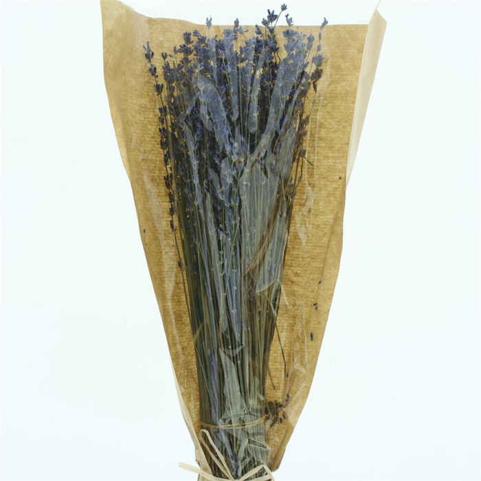 <h4>Dried Lavendula 100grams</h4>