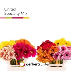Ge Gr Specialty Mix