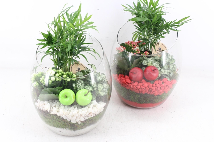 <h4>arr2 PL - Glas vaas samba 999/2 - rood/wit</h4>