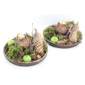 arr4 Amaryllis MB - Ker. schotel 1bol 285/4