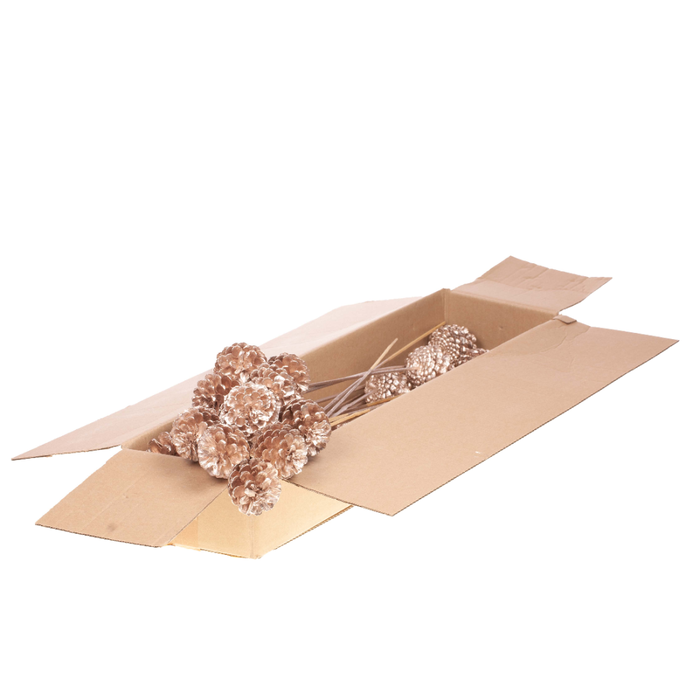 <h4>Pine C 5-7 O/s Sb Wrm Gld</h4>