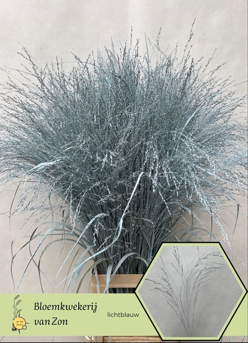<h4>SIERGR OV KLB H%</h4>
