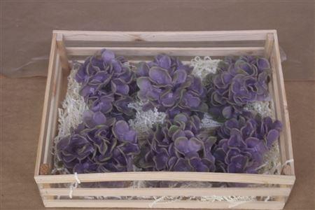 <h4>Wax Hydrangea Lila</h4>