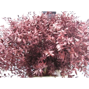 Ruscus Prik Bordeaux Glitter