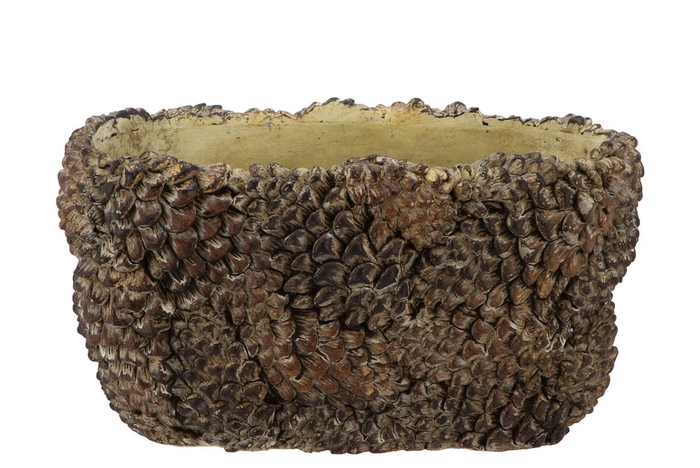 <h4>Concrete Natural Pinecone Bowl Oval 25x15x13cm Nm</h4>