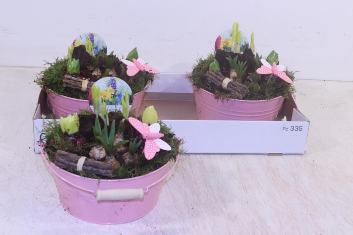 <h4>ARR BOL KNOLGEWAS</h4>