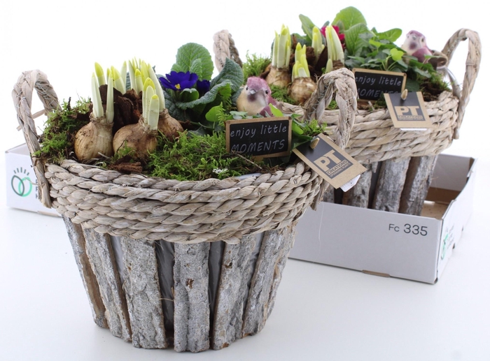 <h4>ARR PL IN SCHAAL</h4>