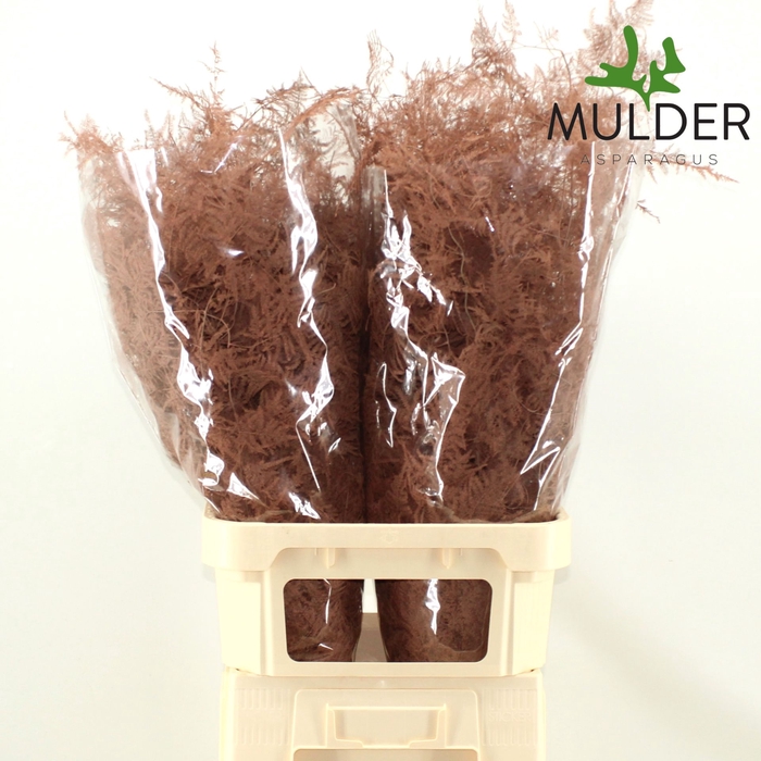 <h4>ASP OV KLB H%</h4>