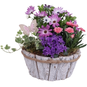 Spring Flower Arr. Outdoor Barkpot Round White Ø24cm 4PP