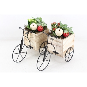 arr2 TD - Driewieler - rood/wit