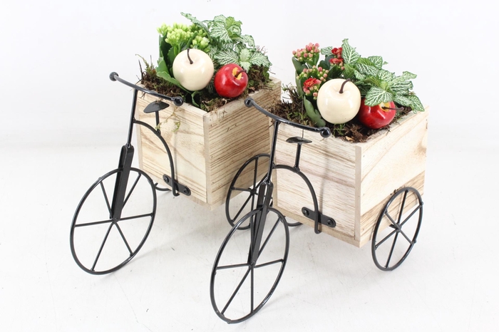 <h4>arr2 TD - Driewieler - rood/wit</h4>