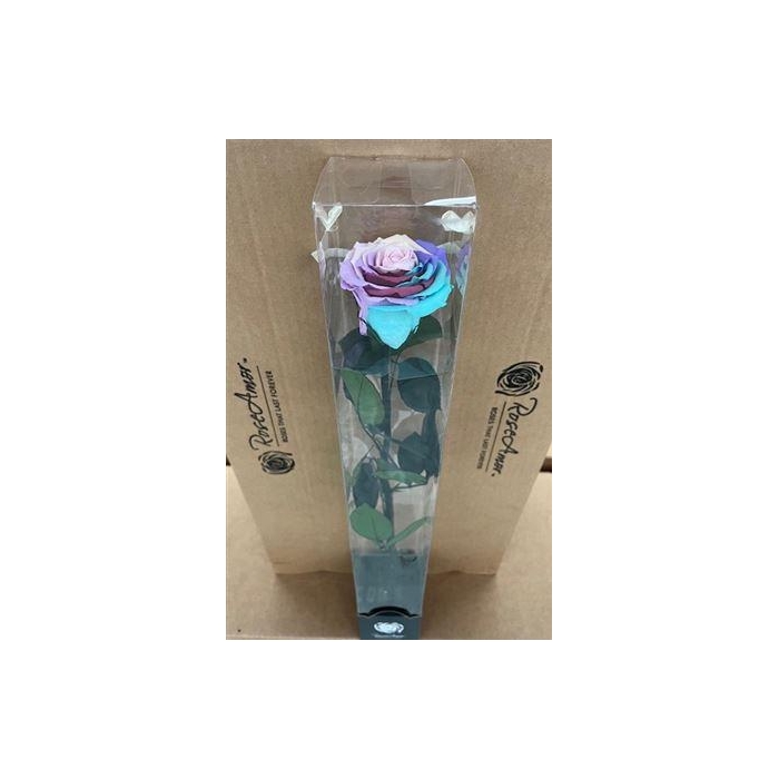 <h4>50cm Stem Rainbow Pin04</h4>