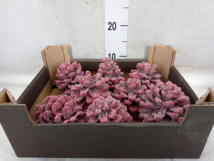 <h4>Decoratieve materialen   ...H%</h4>