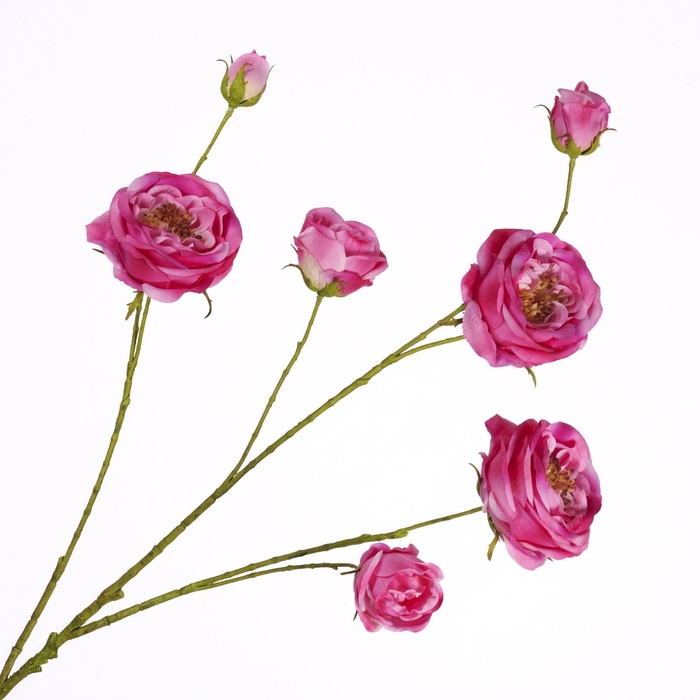 <h4>Rosa Spray Beauty FL440343BEA</h4>