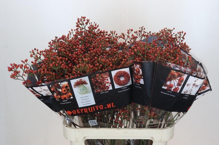 <h4>ROZENBOTTEL AUTUMN ROSEFRUITS*</h4>