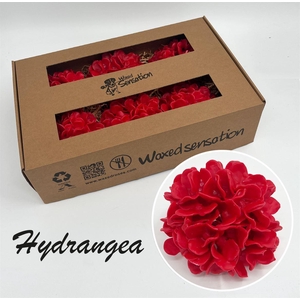 Zijde Hydr Wx Rood