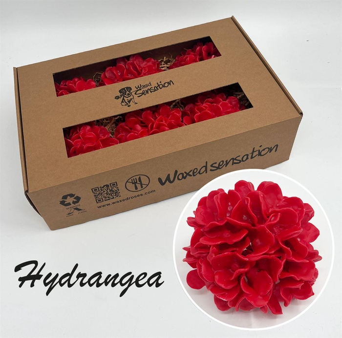 <h4>Zijde Hydr Wx Rood</h4>