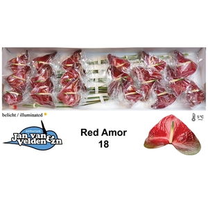 Red Amor 18