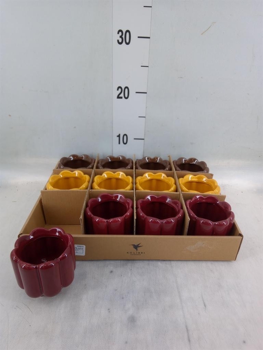 <h4>Pot   ...Keramische H%</h4>