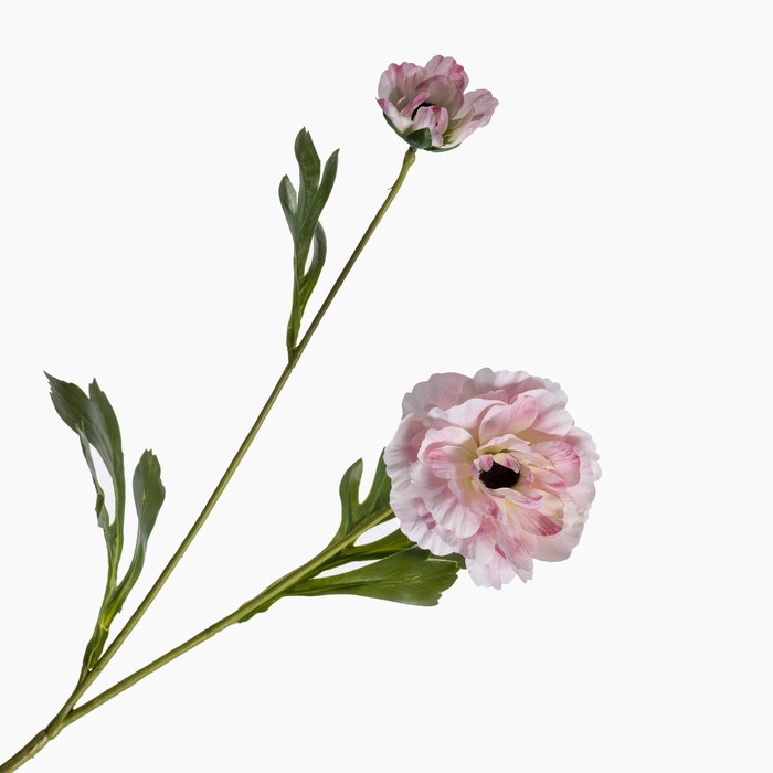 <h4>Ranunculus Spray LightPink FL440297LPK</h4>