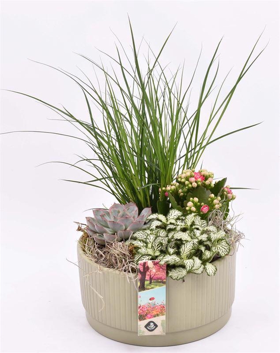 <h4>Keamiek lines khaki schaal 18cm</h4>