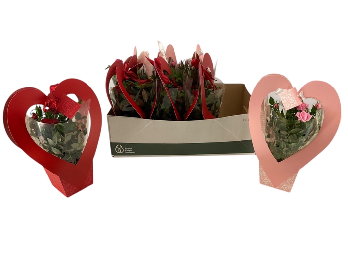 <h4>RO KORDANA GEM</h4>