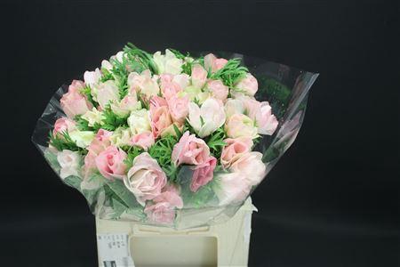 <h4>Anem Z Mistral L Pink</h4>