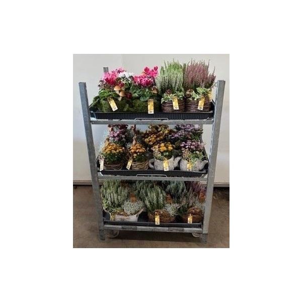 <h4>Mix EC Najaarsarrangementen</h4>