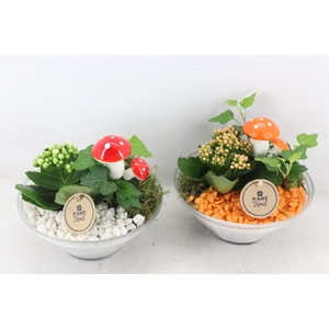 arr2 PL - Glas ribbelschaal x3 - oranje/wit