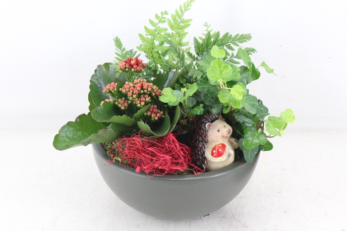<h4>arr2 JS - Ker. bol schaal rood</h4>