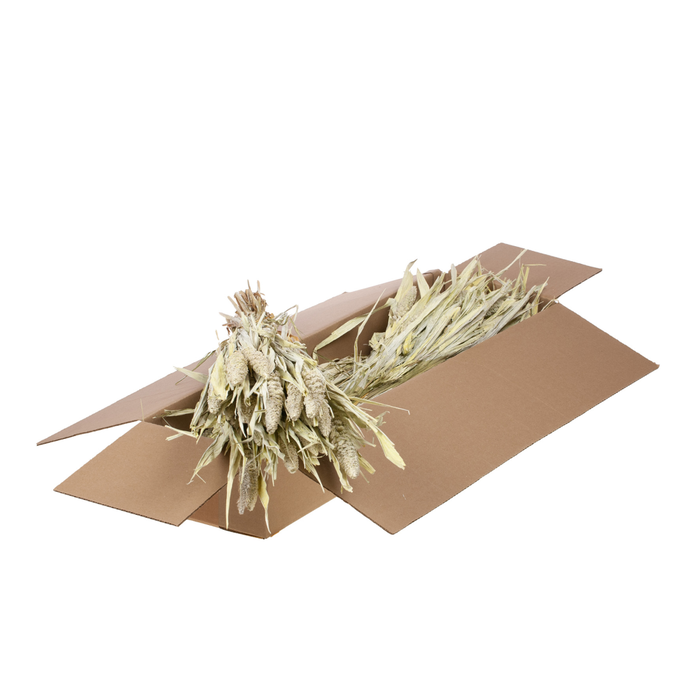 <h4>Setarea Italica Sb White Misty</h4>