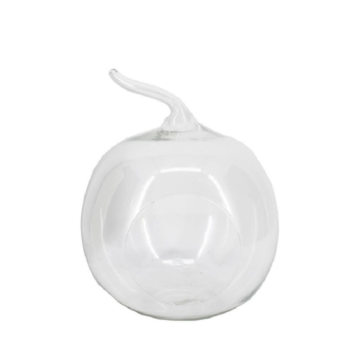 <h4>Glas Terrarium Appel +gat d19*20/24cm</h4>