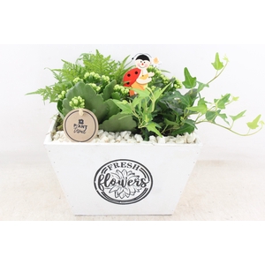 Arr2 Pl - Hout 4kant Pot Los Wit