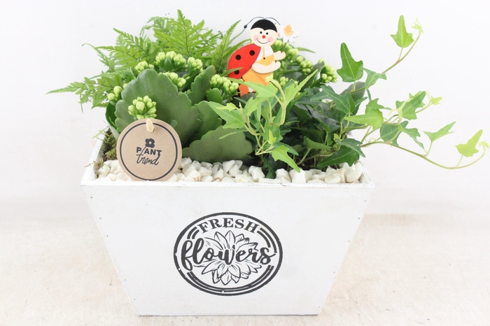 Arr2 Pl - Hout 4kant Pot Los Wit